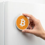 Bitcoin magnet crypto gift for traders and Web3 builders